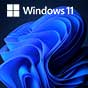 Windows 11 Professional Key